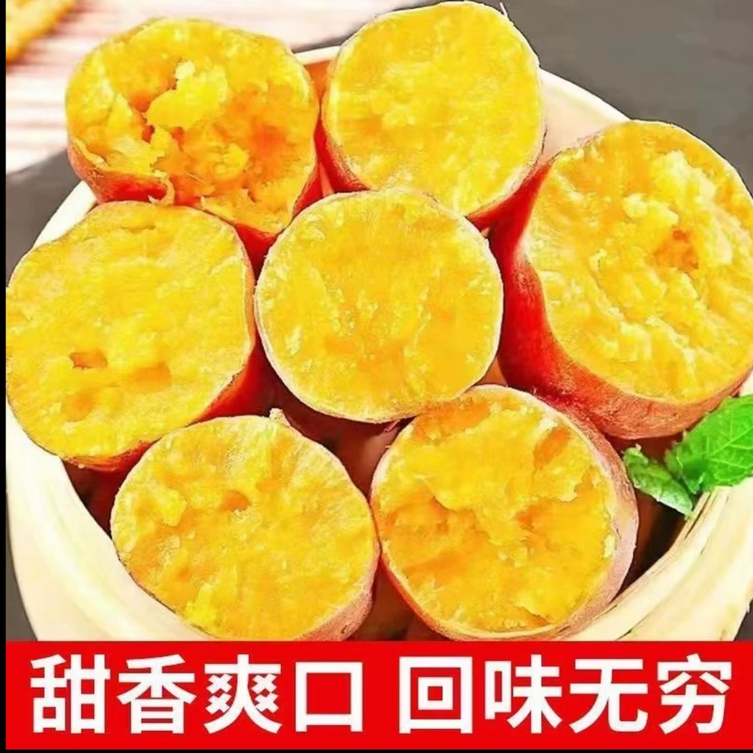 (顺丰包邮）湖南本地新鲜红薯