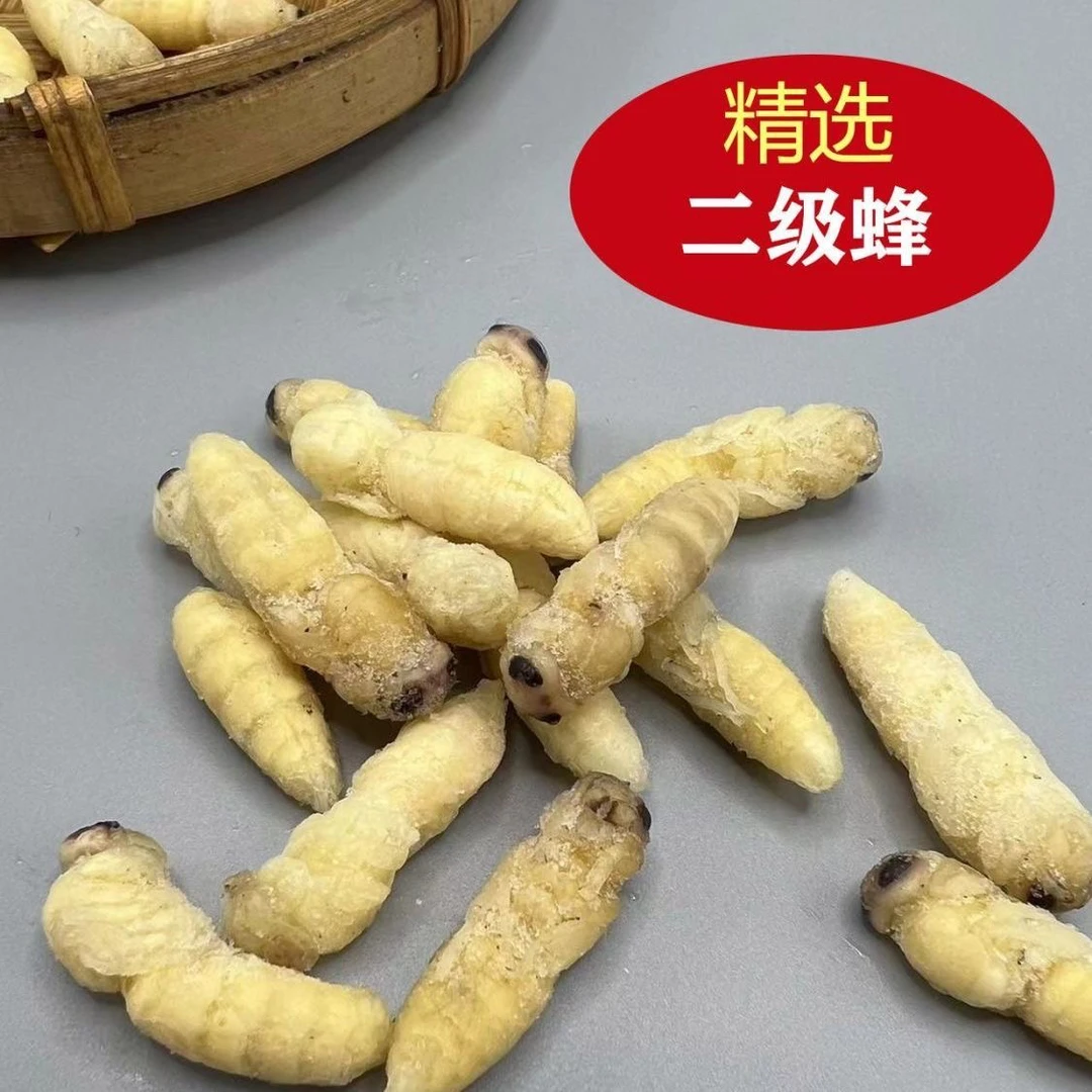 今年新货蜂蛹野生新鲜马蜂蛹二级活体冷冻胡蜂虫黄蜂蛹可泡酒好货