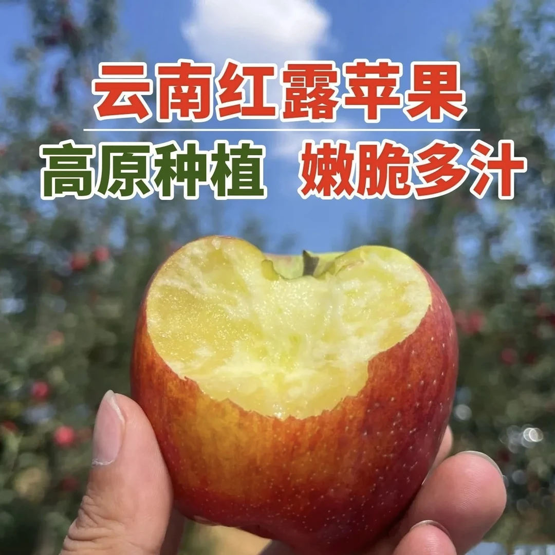 顺丰包邮云南红露苹果高山苹果当季现摘清甜可口孕妇解馋新鲜水果
