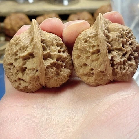 文玩核桃把件朱雀带彩39