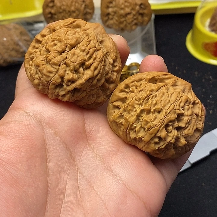 吊坠龙脊菩提龙顶帽