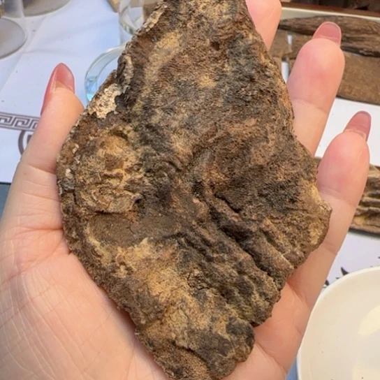 沉香摆件海南野生包头14.9克