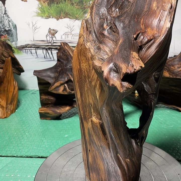 怪***豆木（非红木类）土沉香