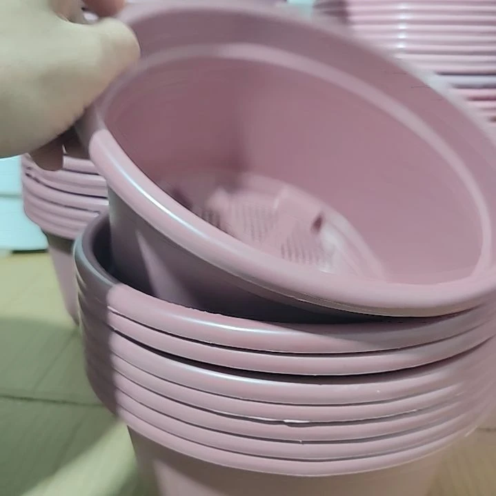 紫红色矮胖老桩盆 8 个