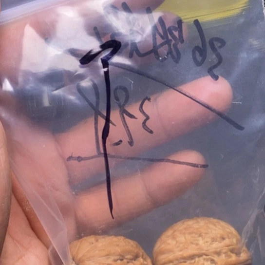 【闪购商品】把件文玩核桃T*铁锤