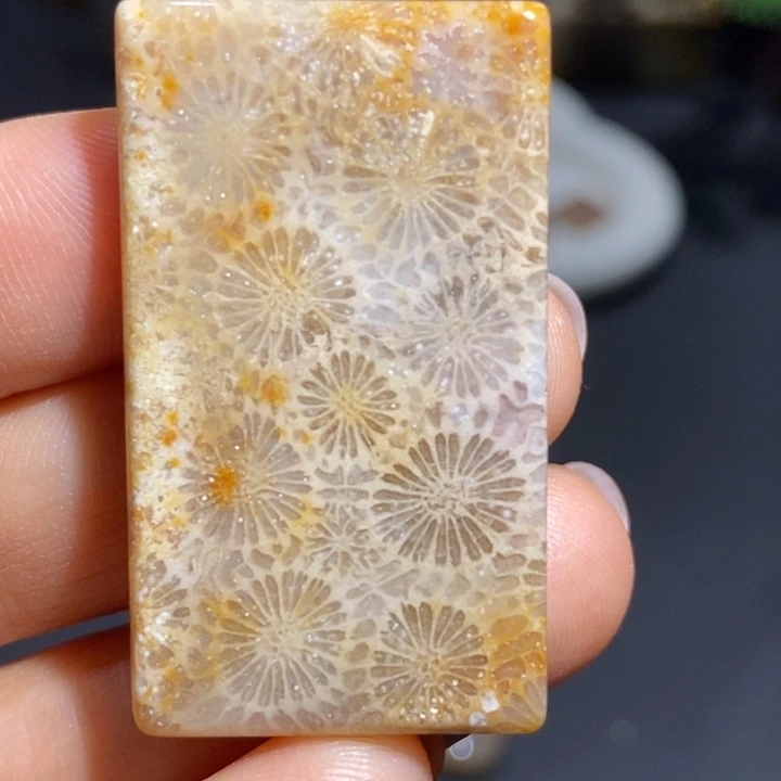 【闪购商品】未镶嵌珊瑚玉硅化玉