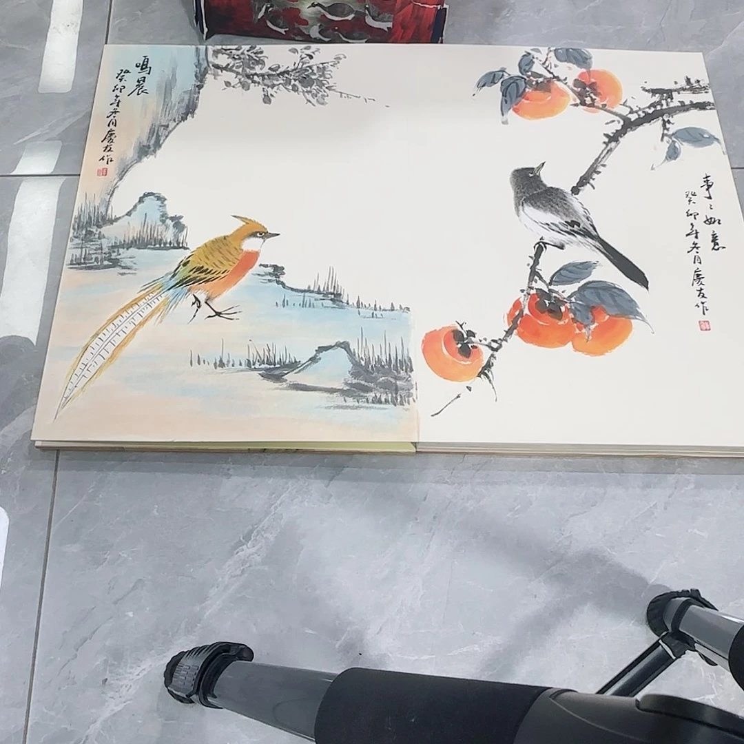 国画红皮书指出该公司