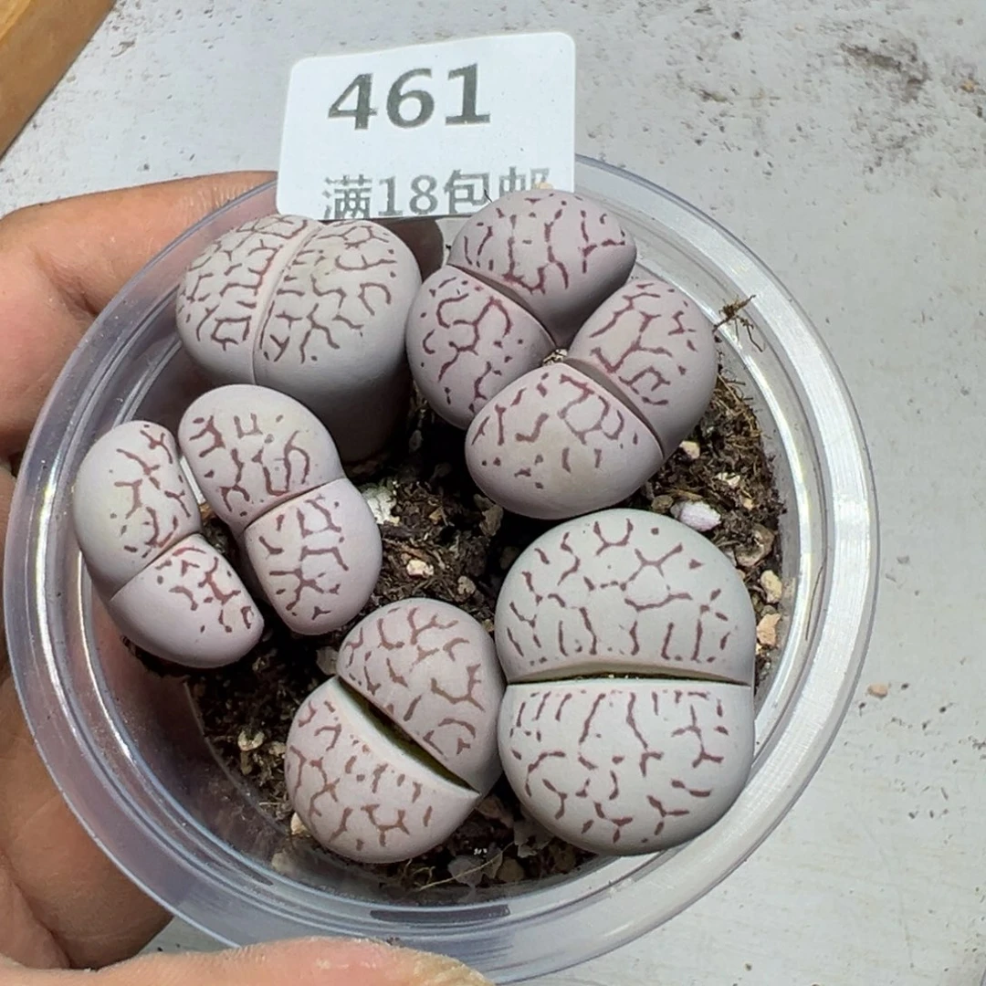 【闪购商品】 561.
