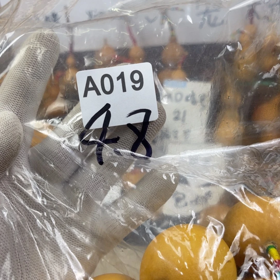 葫芦19000000000000