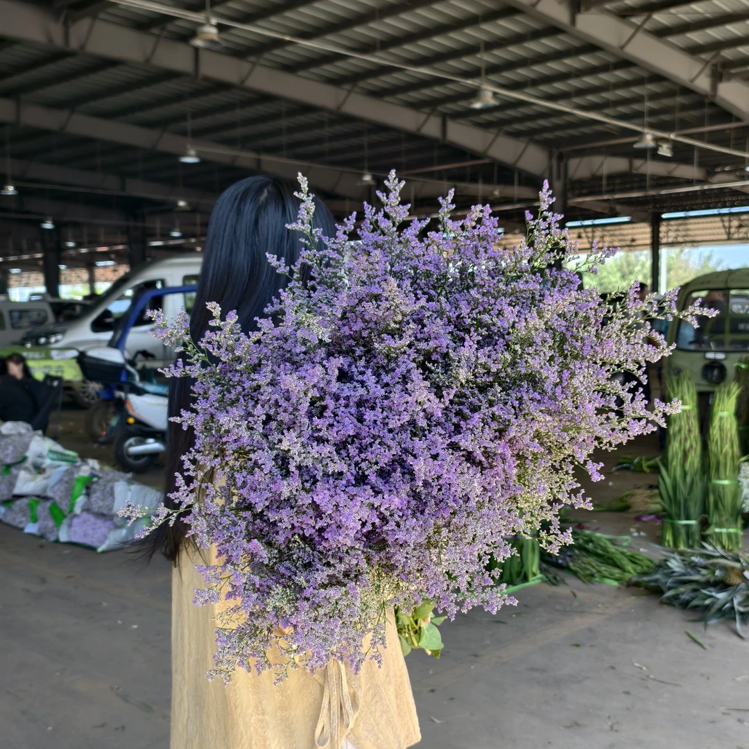 花拾间情人草鲜花可做干花好养耐养小众高级
