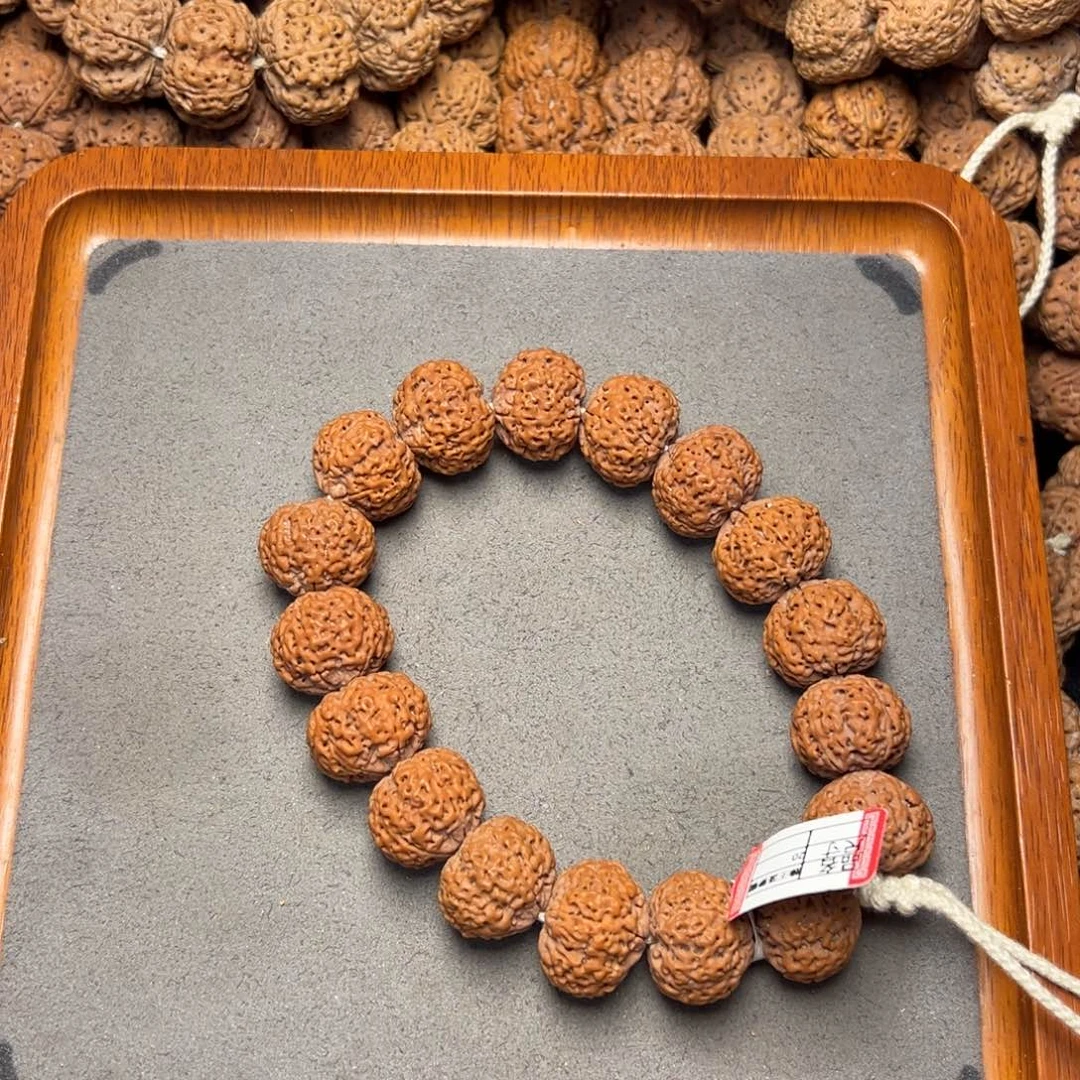 菩提3号尼泊尔大金刚20五星蜂王菠萝蜜