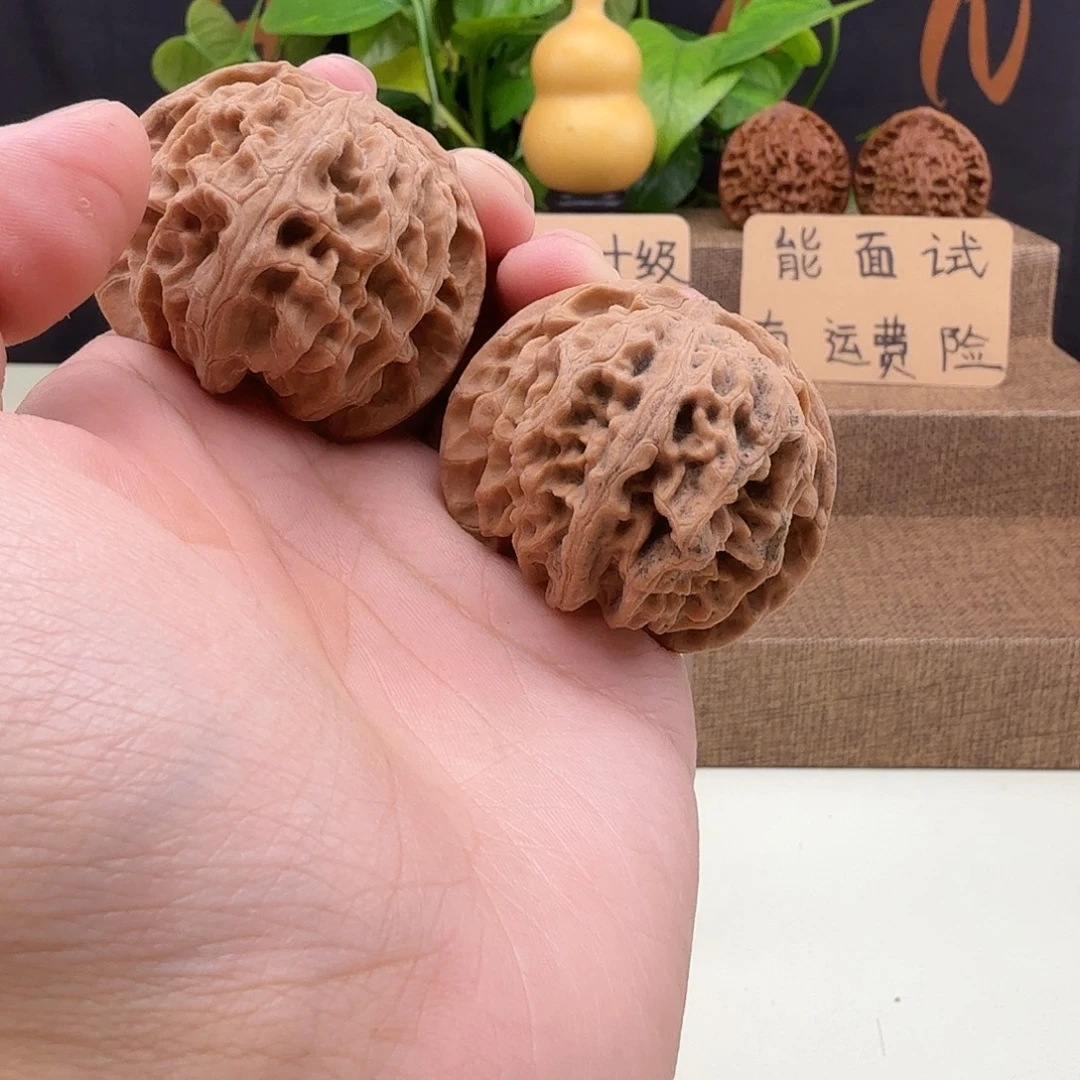 全品毕业苹果圆45/43/38
