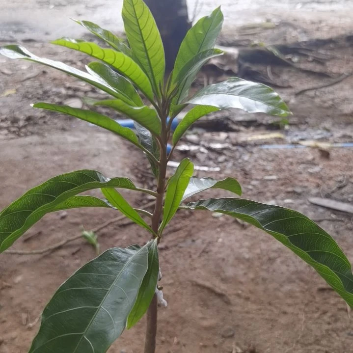 1***3完全开放国际。。。。