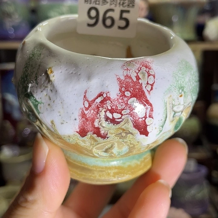 狼盆内口径5高度6