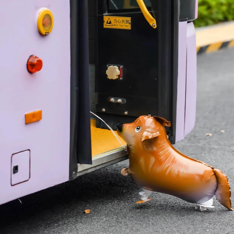 会走路的狗气球走路气球狗价格儿童户外小狗走路铝膜气球牵绳道具