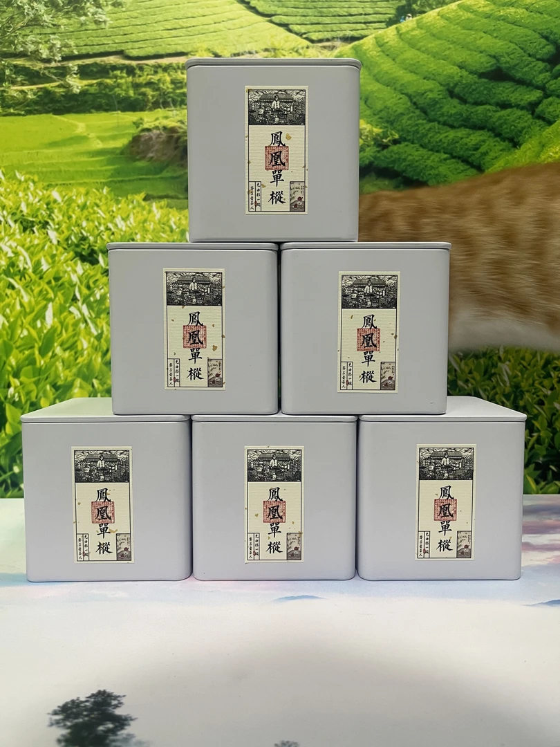 高山  锯朵仔(清香型)铁罐礼盒装