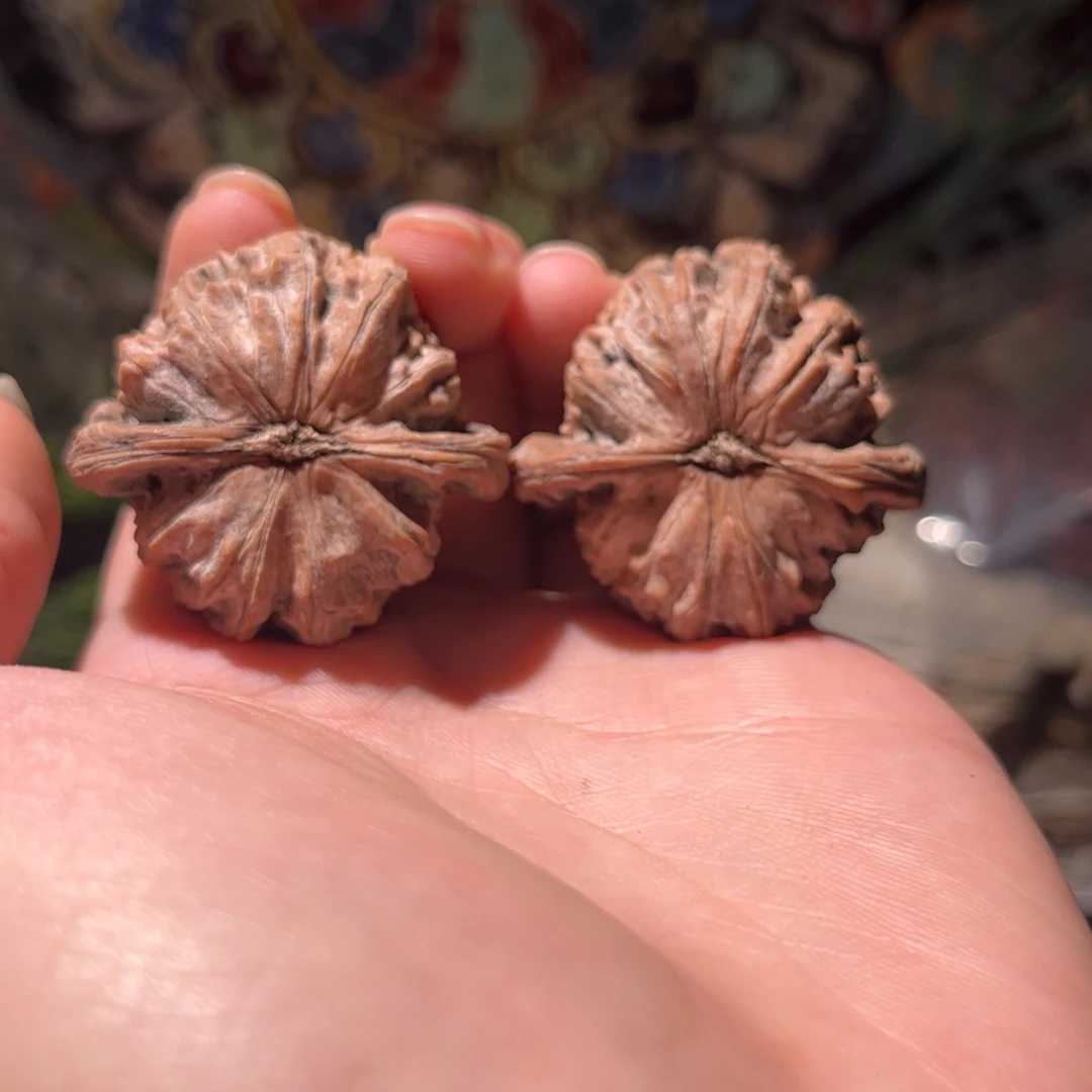 不***知木质40尺白狮子狮子头