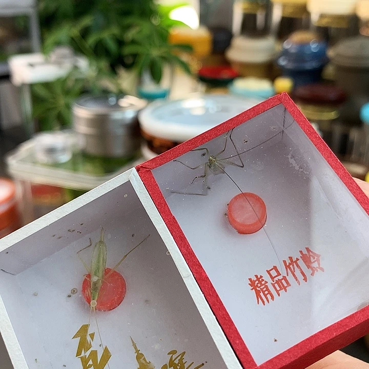 啊啊啊啊啊啊啊啊啊