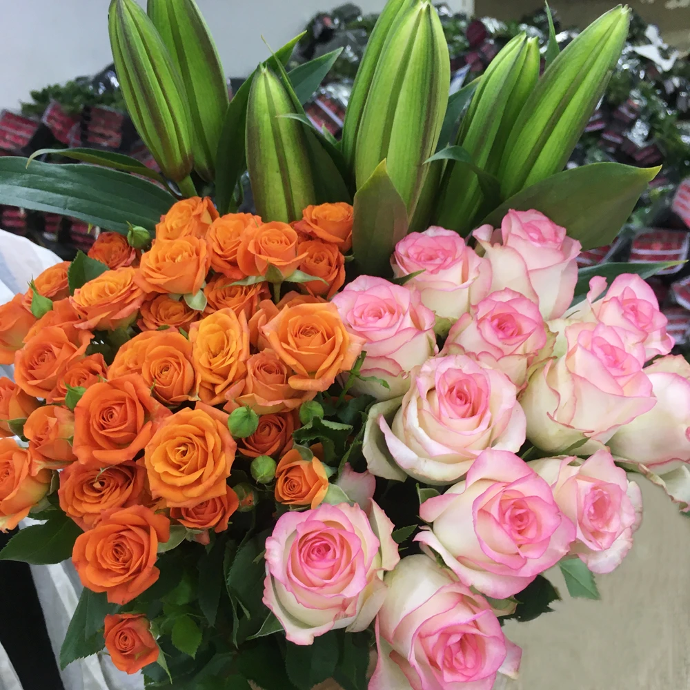 【玫瑰组合】单头玫瑰新鲜鲜花花束云南鲜花基地直发适合客厅装饰