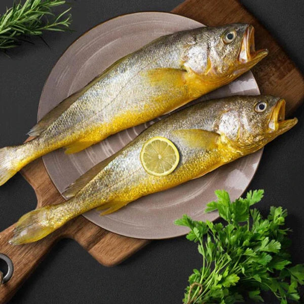 深海大黄花鱼 2条 (单条净鱼重量≥300g)