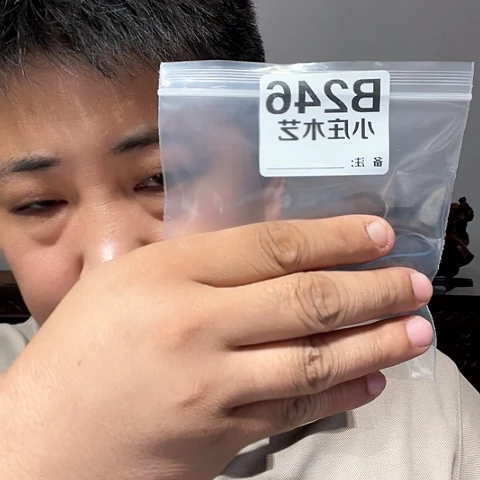 【闪购商品】石英石铁合金246