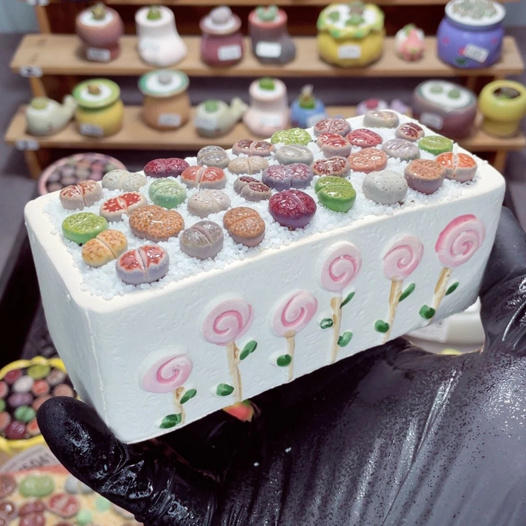 夜间零下地区拍保温箱w5056