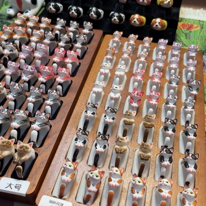 陶瓷陶瓷陶瓷陶瓷陶瓷