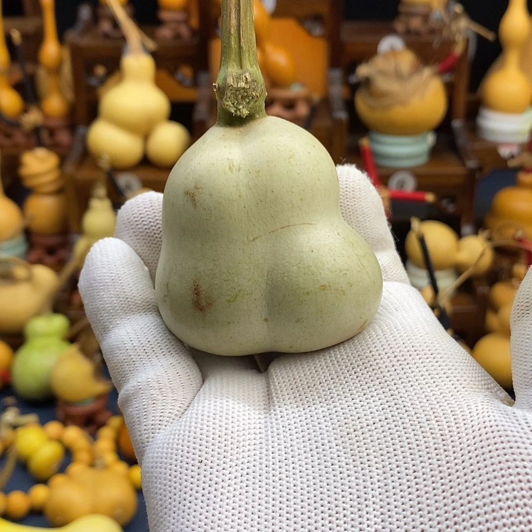 热***生文玩葫芦文玩葫芦