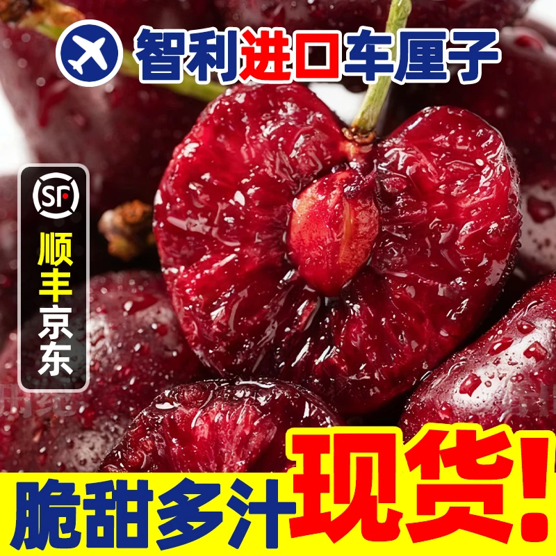 3JD特大果【今天拍明天到】智利车厘子新鲜宝宝孕妇水TY内附果径卡800g海运桑提娜樱桃智利共和国