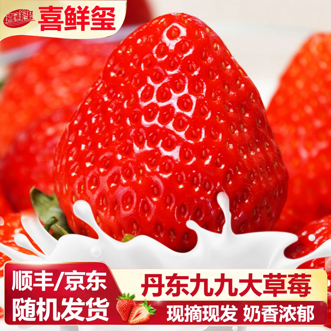 【九九草莓】正宗丹东红颜牛奶大草莓核心产区新鲜 顺丰/京东发货