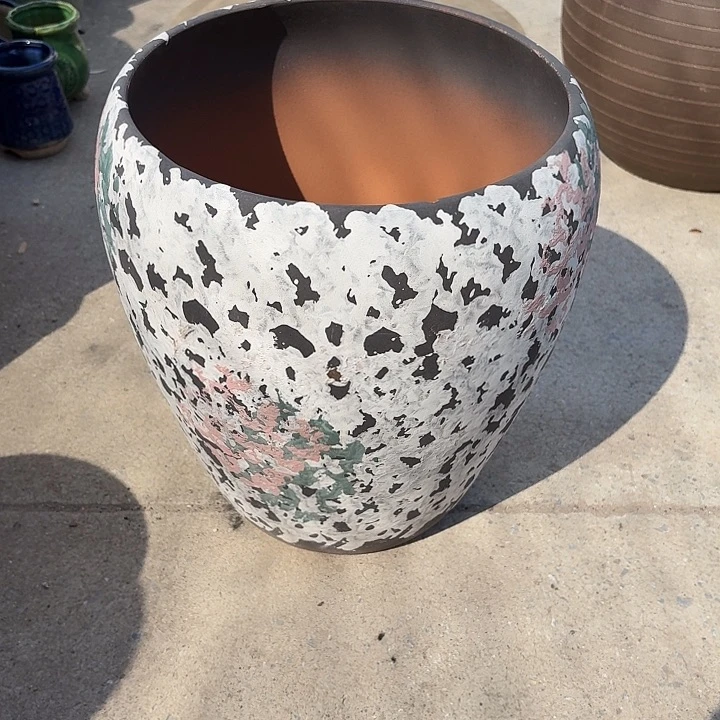 25/31正品正品的。