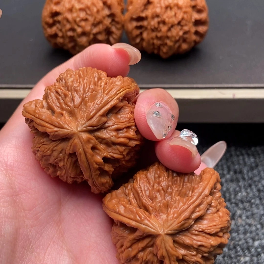 王***茗木质类白狮子正奔