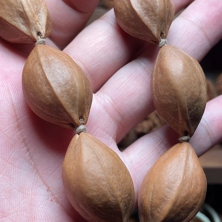 2.0尺寸老树铁核手串
