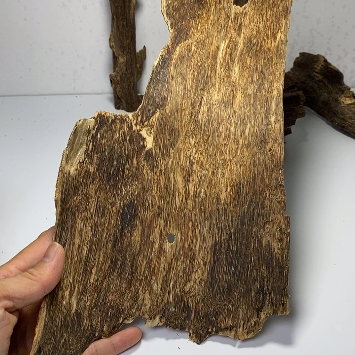 国香高品质皮油窝油99克