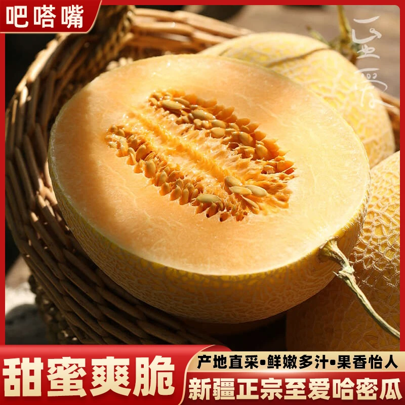 新疆哈密瓜原产地发货正宗吐鲁番至爱蜜瓜黄皮网纹瓜现摘现发水果