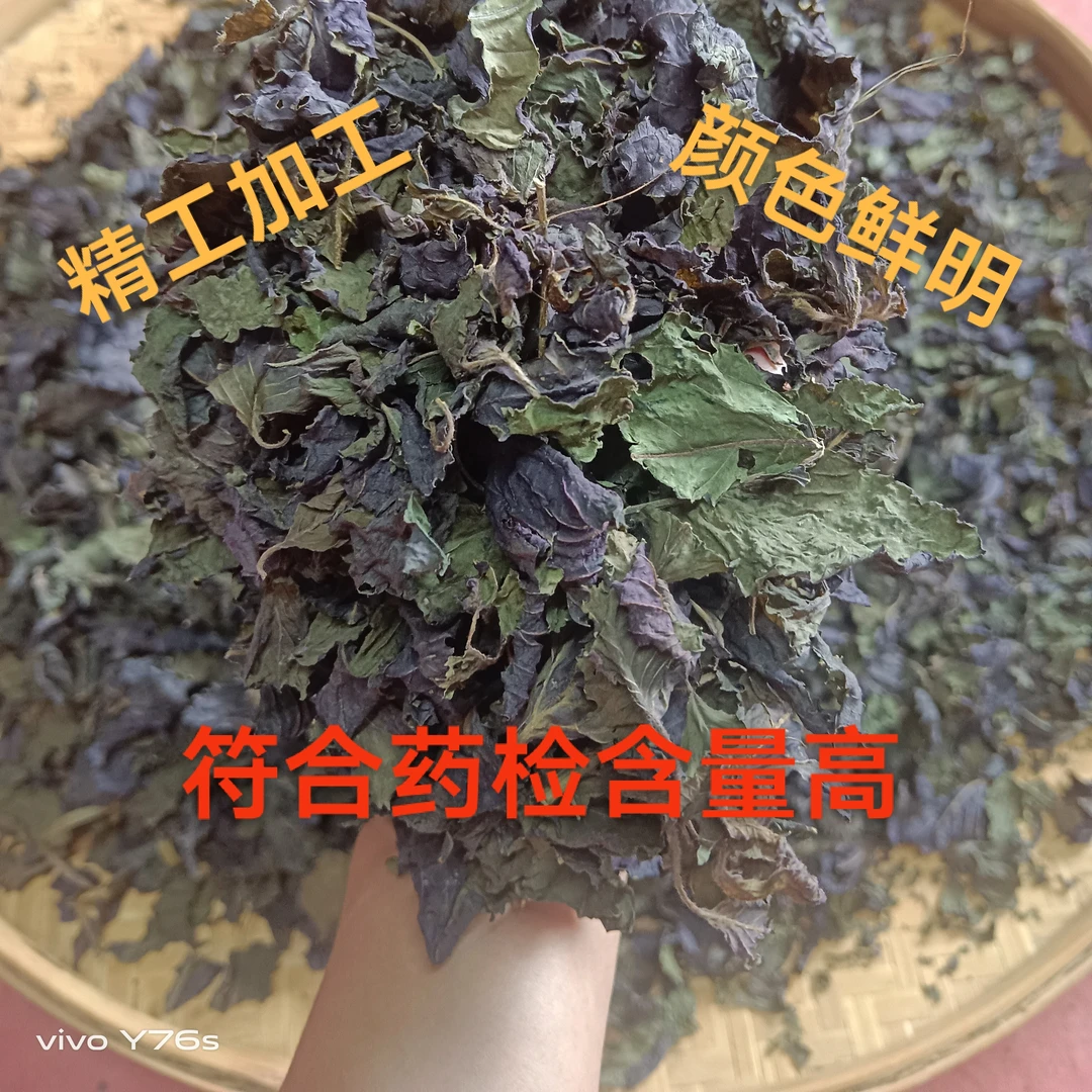 玉林产地货-药食同源紫苏切碎无杆味香可做菜煮鱼泡水喝,买一送一