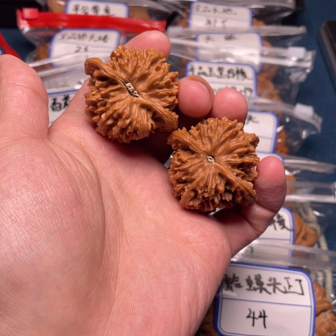 小*丶43全品满天星！！！！！！！！！！