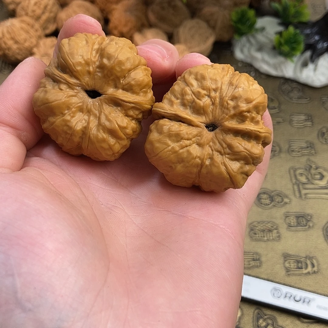 核桃蛤蟆头全品边40肚44无修无黄荷叶底开背
