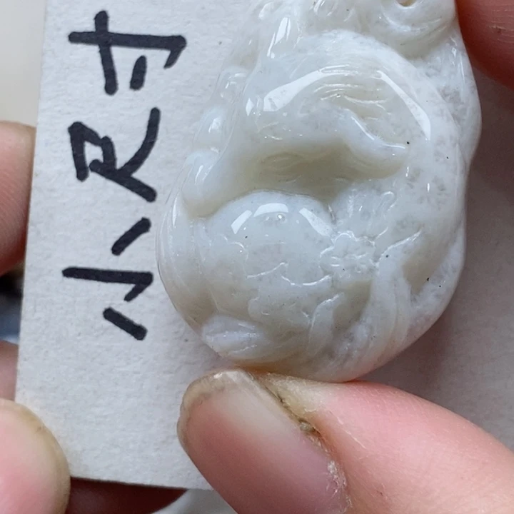 颈饰未镶嵌硅化珊瑚（珊瑚玉）