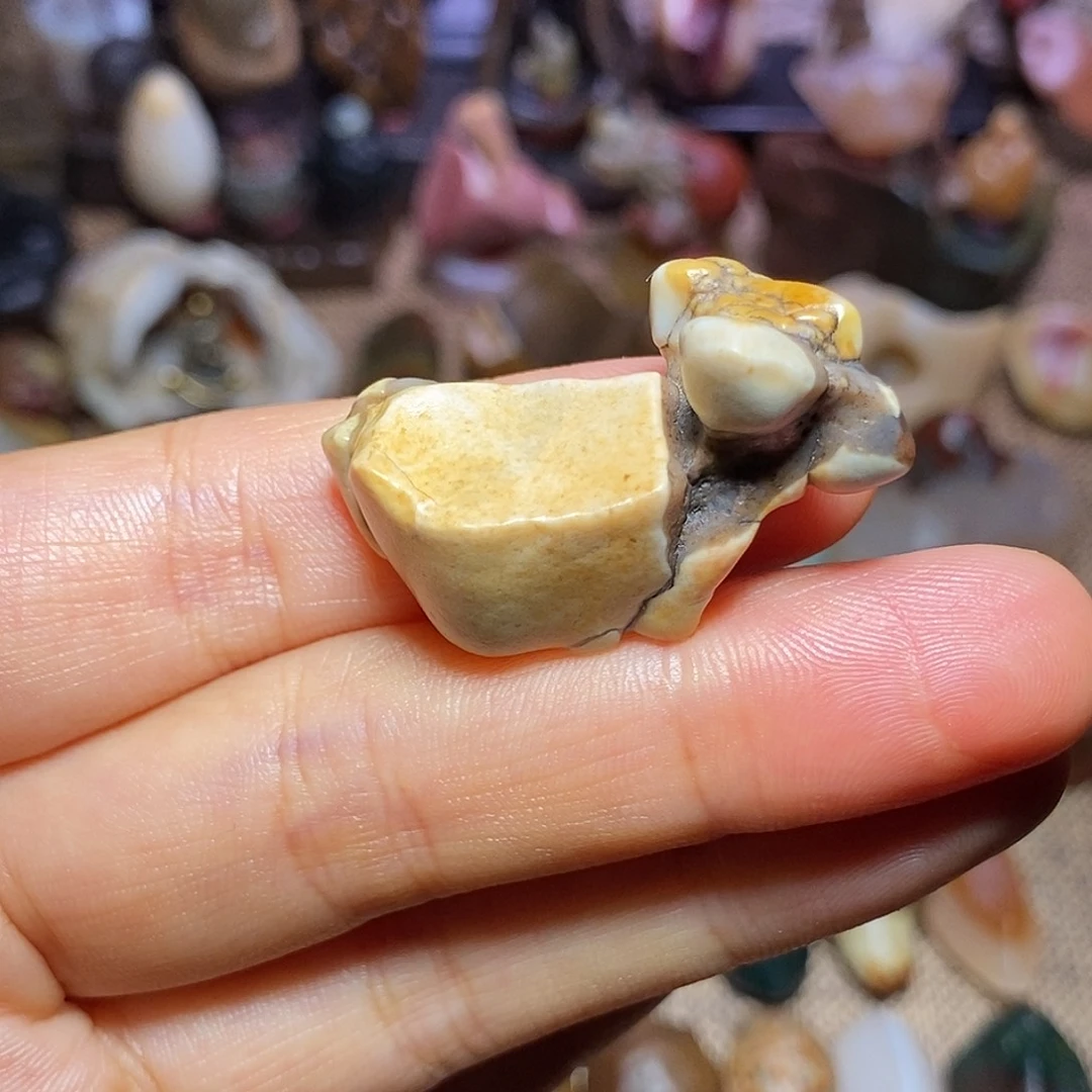 鱼***草有机玻璃俏色小羊
