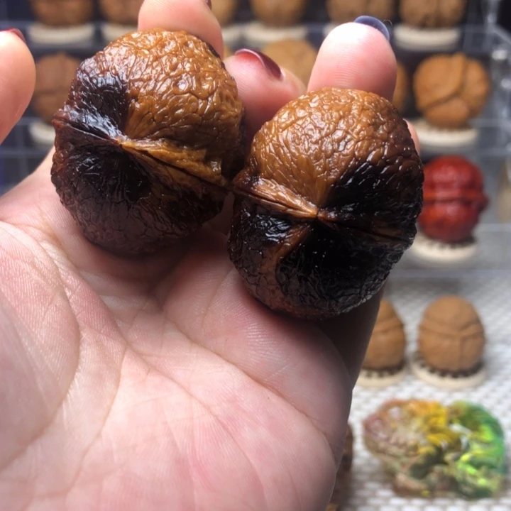 把件文玩核桃19熊猫彩41尺