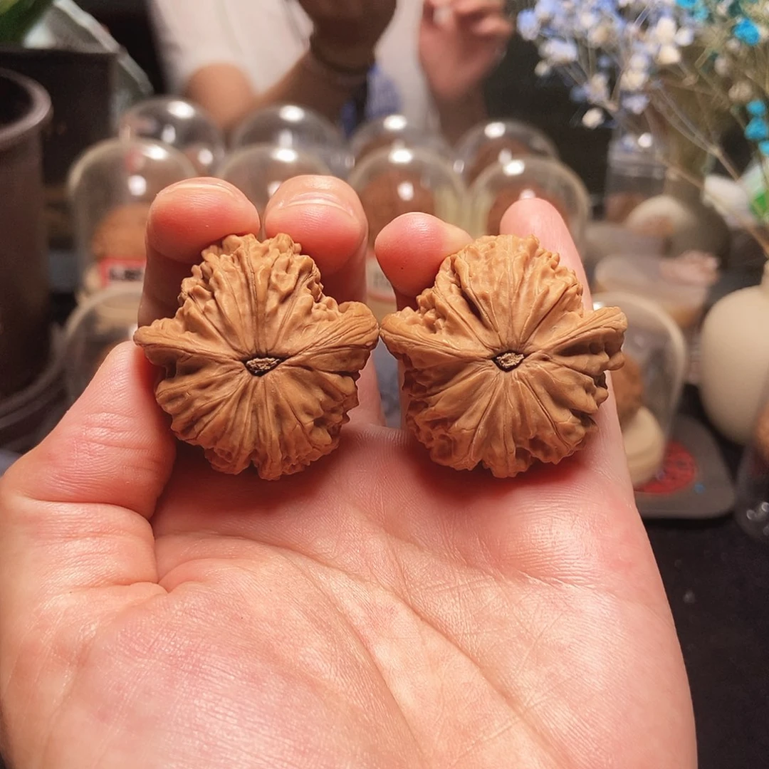 37磨盘，富甲一方龟背