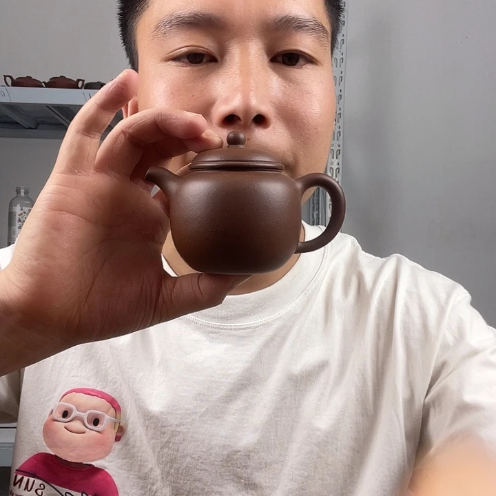 茶壶紫砂正品一把