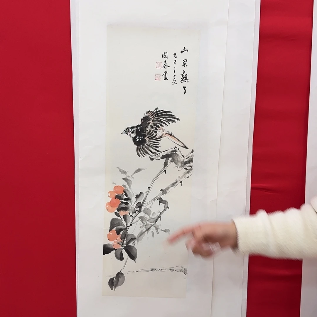 国画新号开播福利多多