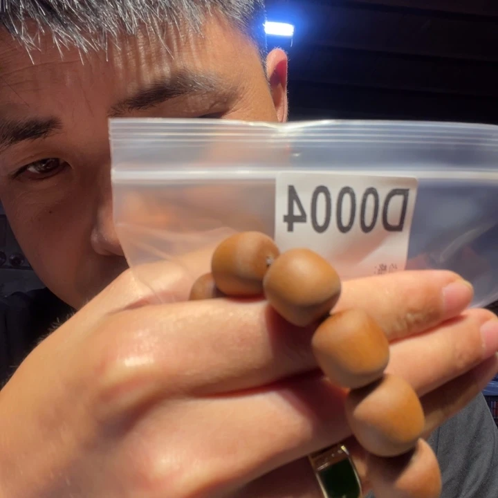 大叶紫檀（黑酸枝木类）004