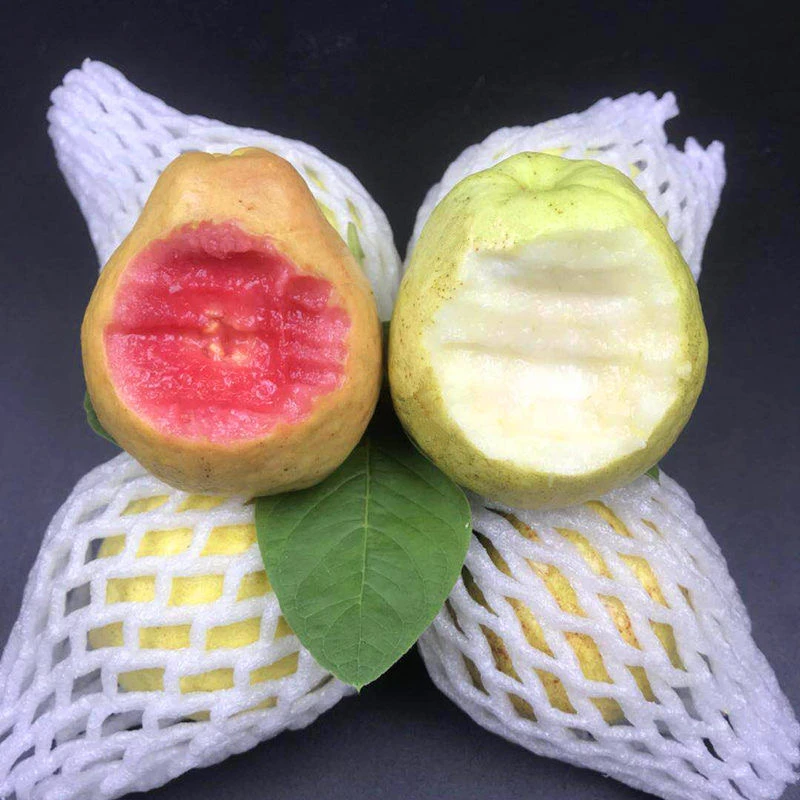 【树熟芭乐】低卡软香芭乐番石榴白心红心红白双拼软糯3-4.5斤装