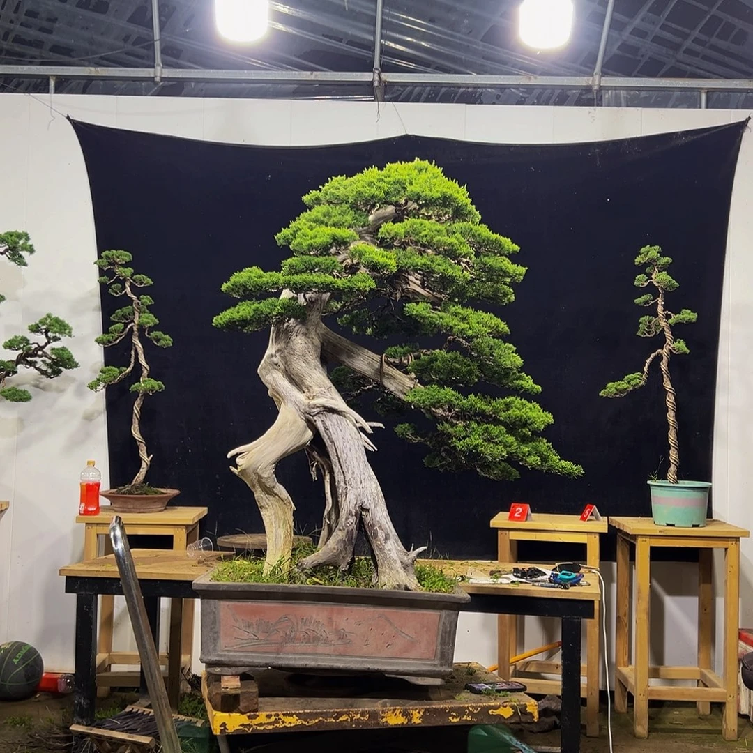 完全开放系鱼川真白系鱼川