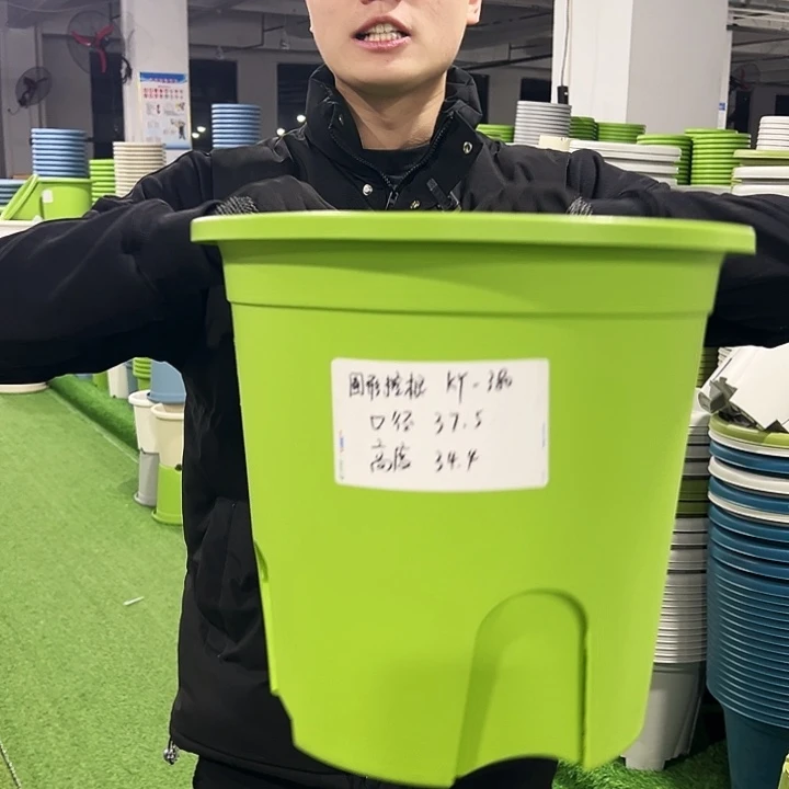 正品圆控口37高34果绿色5只无托