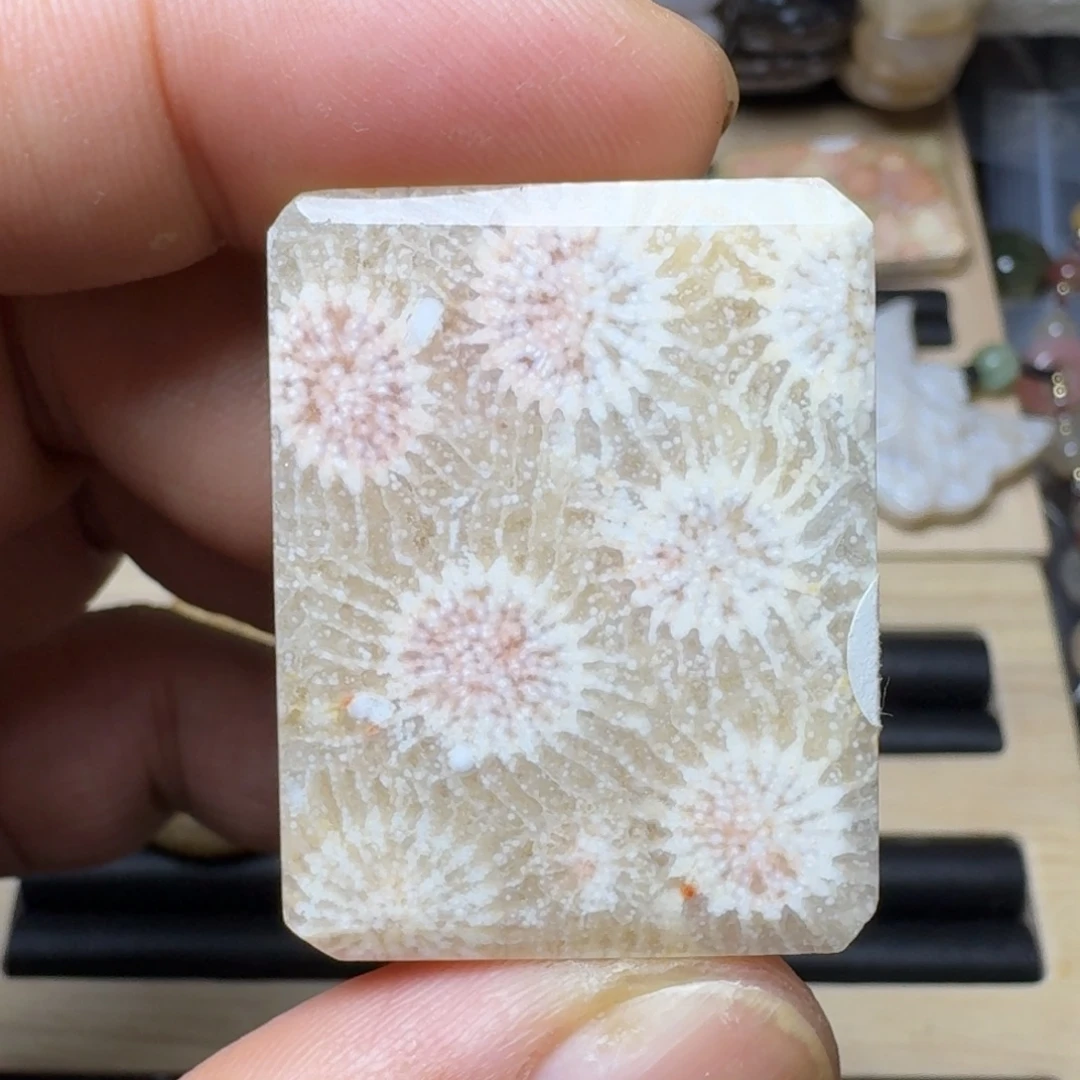 未镶嵌纯天然色有机玉石保真色硅化玉