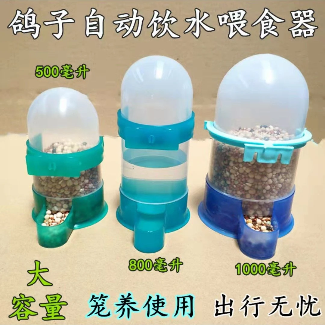 鸽子芦丁鸡自动饮水器喂食器食盒食槽等鸟用用品